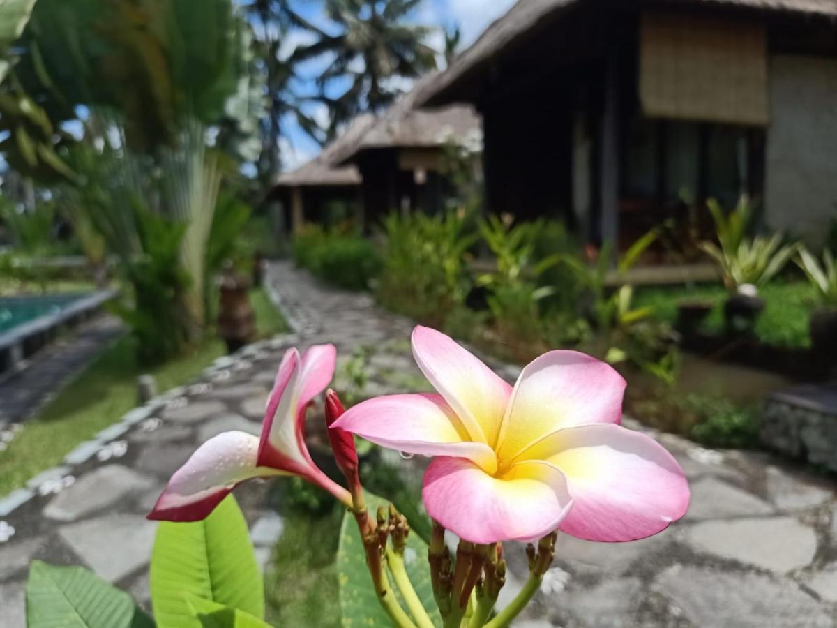 Taman Bintang Villa Ubud מראה חיצוני תמונה