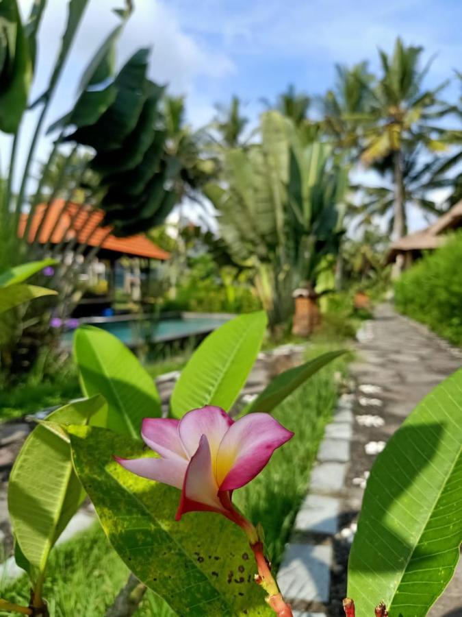Taman Bintang Villa Ubud מראה חיצוני תמונה